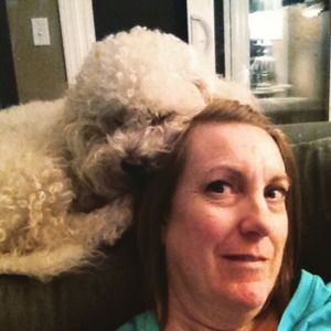 Meet your Posher, Robin